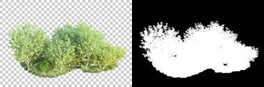 Doğa, arka planda bir maskeyle izole edilmiştir. 3d görüntüleme - illüstrasyon