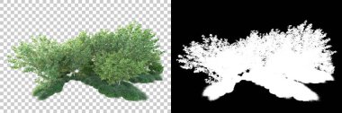 Doğa, arka planda bir maskeyle izole edilmiştir. 3d görüntüleme - illüstrasyon