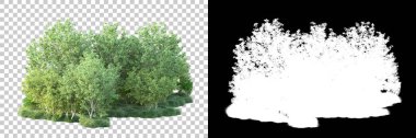 Doğa, arka planda bir maskeyle izole edilmiştir. 3d görüntüleme - illüstrasyon
