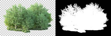 Doğa, arka planda bir maskeyle izole edilmiştir. 3d görüntüleme - illüstrasyon