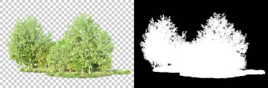 Doğa, arka planda bir maskeyle izole edilmiştir. 3d görüntüleme - illüstrasyon
