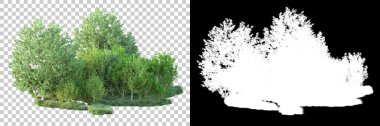 Doğa, arka planda bir maskeyle izole edilmiştir. 3d görüntüleme - illüstrasyon