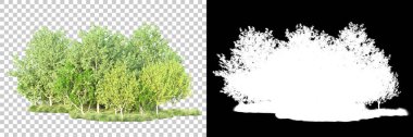 Doğa, arka planda bir maskeyle izole edilmiştir. 3d görüntüleme - illüstrasyon