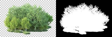 Doğa, arka planda bir maskeyle izole edilmiştir. 3d görüntüleme - illüstrasyon