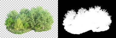 Doğa, arka planda bir maskeyle izole edilmiştir. 3d görüntüleme - illüstrasyon