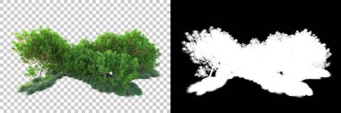 Doğa, arka planda bir maskeyle izole edilmiştir. 3d görüntüleme - illüstrasyon