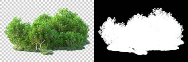 Doğa, arka planda bir maskeyle izole edilmiştir. 3d görüntüleme - illüstrasyon