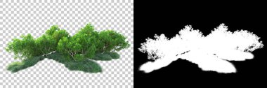 Doğa, arka planda bir maskeyle izole edilmiştir. 3d görüntüleme - illüstrasyon