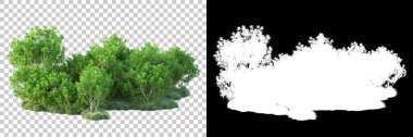 Doğa, arka planda bir maskeyle izole edilmiştir. 3d görüntüleme - illüstrasyon