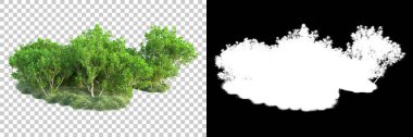 Doğa, arka planda bir maskeyle izole edilmiştir. 3d görüntüleme - illüstrasyon
