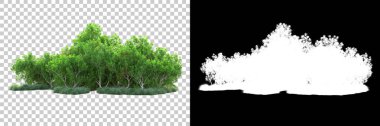 Doğa, arka planda bir maskeyle izole edilmiştir. 3d görüntüleme - illüstrasyon