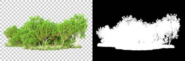 Doğa, arka planda bir maskeyle izole edilmiştir. 3d görüntüleme - illüstrasyon