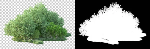 Nature is isolated in the background with a mask. 3d rendering - illustration