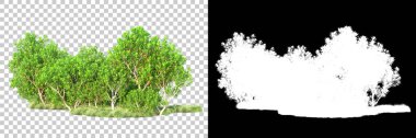 Doğa, arka planda bir maskeyle izole edilmiştir. 3d görüntüleme - illüstrasyon