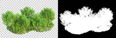 Doğa, arka planda bir maskeyle izole edilmiştir. 3d görüntüleme - illüstrasyon