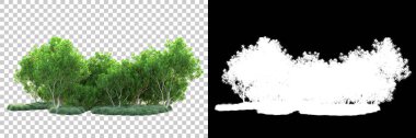 Doğa, arka planda bir maskeyle izole edilmiştir. 3d görüntüleme - illüstrasyon