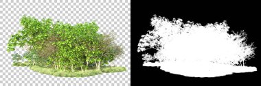 Doğa, arka planda bir maskeyle izole edilmiştir. 3d görüntüleme - illüstrasyon