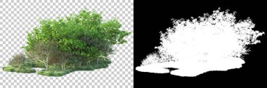 Doğa, arka planda bir maskeyle izole edilmiştir. 3d görüntüleme - illüstrasyon