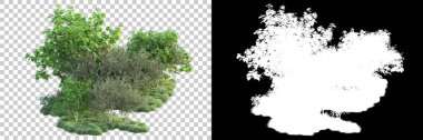 Doğa, arka planda bir maskeyle izole edilmiştir. 3d görüntüleme - illüstrasyon