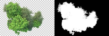 Doğa, arka planda bir maskeyle izole edilmiştir. 3d görüntüleme - illüstrasyon