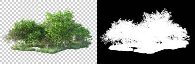 Doğa, arka planda bir maskeyle izole edilmiştir. 3d görüntüleme - illüstrasyon