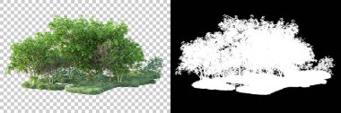Doğa, arka planda bir maskeyle izole edilmiştir. 3d görüntüleme - illüstrasyon