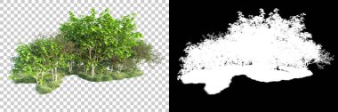Doğa, arka planda bir maskeyle izole edilmiştir. 3d görüntüleme - illüstrasyon