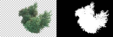 Doğa, arka planda bir maskeyle izole edilmiştir. 3d görüntüleme - illüstrasyon