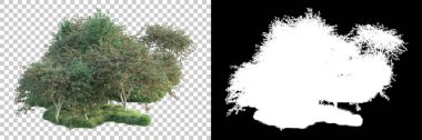 Doğa, arka planda bir maskeyle izole edilmiştir. 3d görüntüleme - illüstrasyon