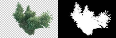Doğa, arka planda bir maskeyle izole edilmiştir. 3d görüntüleme - illüstrasyon