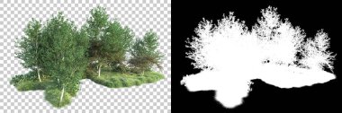 Doğa, arka planda bir maskeyle izole edilmiştir. 3d görüntüleme - illüstrasyon