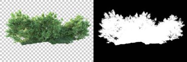 Doğa, arka planda bir maskeyle izole edilmiştir. 3d görüntüleme - illüstrasyon