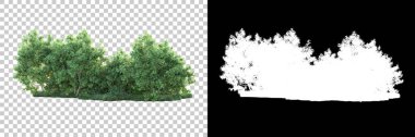 Doğa, arka planda bir maskeyle izole edilmiştir. 3d görüntüleme - illüstrasyon