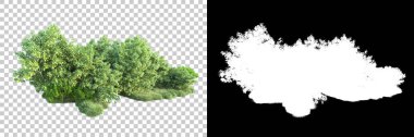 Doğa, arka planda bir maskeyle izole edilmiştir. 3d görüntüleme - illüstrasyon