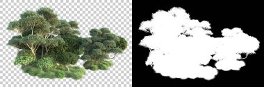 Doğa, arka planda bir maskeyle izole edilmiştir. 3d görüntüleme - illüstrasyon