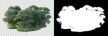 Doğa, arka planda bir maskeyle izole edilmiştir. 3d görüntüleme - illüstrasyon
