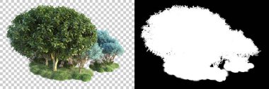 Doğa, arka planda bir maskeyle izole edilmiştir. 3d görüntüleme - illüstrasyon