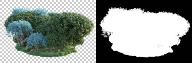 Doğa, arka planda bir maskeyle izole edilmiştir. 3d görüntüleme - illüstrasyon