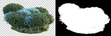 Doğa, arka planda bir maskeyle izole edilmiştir. 3d görüntüleme - illüstrasyon