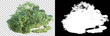 Doğa, arka planda bir maskeyle izole edilmiştir. 3d görüntüleme - illüstrasyon