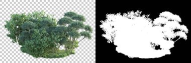 Doğa, arka planda bir maskeyle izole edilmiştir. 3d görüntüleme - illüstrasyon