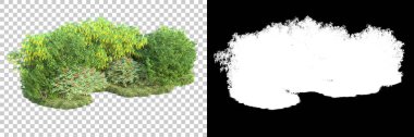 Orman arka planda maskeyle izole edilmiş. 3d görüntüleme - illüstrasyon