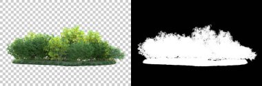 Orman arka planda maskeyle izole edilmiş. 3d görüntüleme - illüstrasyon