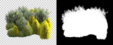 Orman arka planda maskeyle izole edilmiş. 3d görüntüleme - illüstrasyon