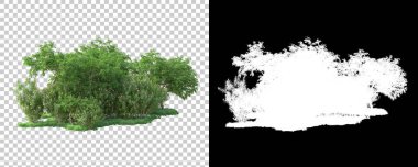 Orman arka planda maskeyle izole edilmiş. 3d görüntüleme - illüstrasyon
