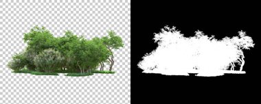 Orman arka planda maskeyle izole edilmiş. 3d görüntüleme - illüstrasyon