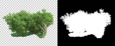 Orman arka planda maskeyle izole edilmiş. 3d görüntüleme - illüstrasyon