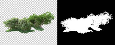 Orman arka planda maskeyle izole edilmiş. 3d görüntüleme - illüstrasyon