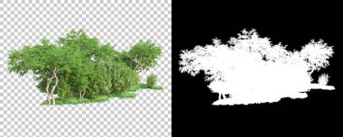 Orman arka planda maskeyle izole edilmiş. 3d görüntüleme - illüstrasyon