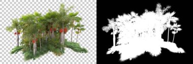 Arka planda maskeyle izole edilmiş tropik orman. 3d görüntüleme - illüstrasyon